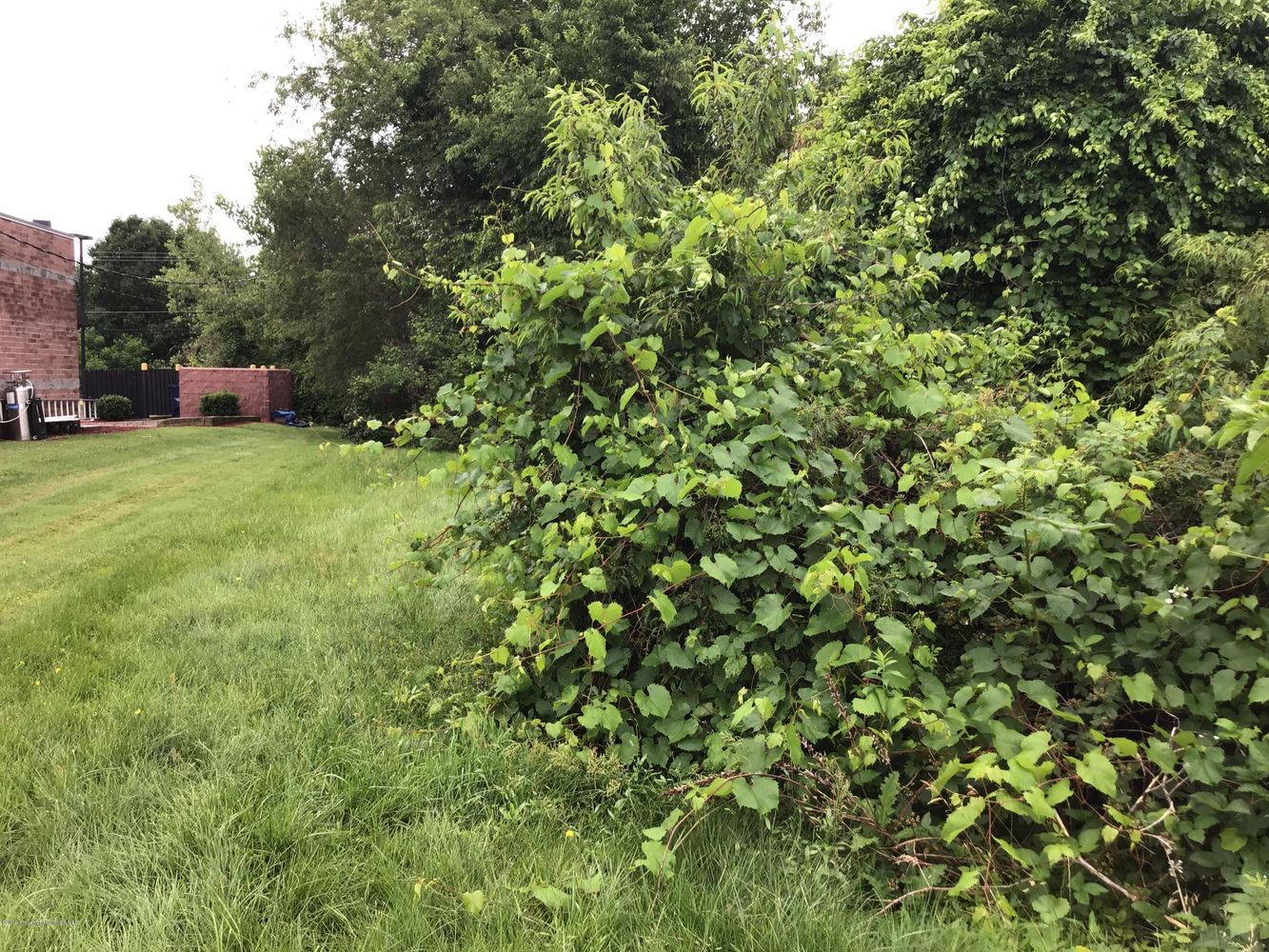 700 Davis St, Scranton, PA 18505